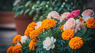 Old-School Flowers Make Home Gardens Feel Personal