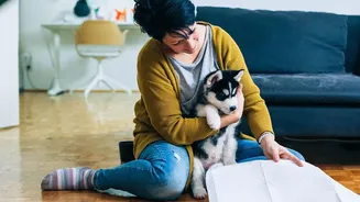 India's Growing Pet Industry Puts Training Standards in Focus