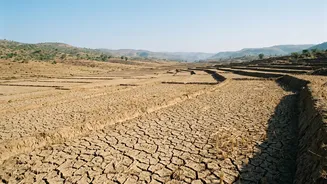 How The Monsoon Deficit Is Affecting Rural Consumption