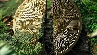 How to evaluate vault safety regulations when storing digital gold vs keeping physical gold coins at home