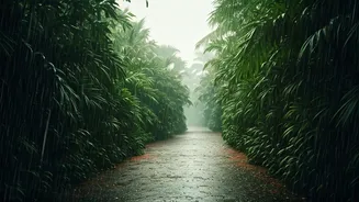 Monsoon Gives Goa A More Intimate Vibe