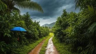 Monsoon Trips Need Forecasts Before Aesthetic Reels