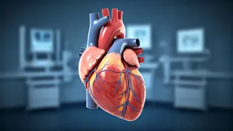 India's Youth and Sudden Cardiac Arrests: A Growing Concern