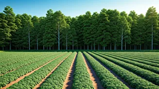 New Forestry and Horticulture University Approved in Gorakhpur, Uttar Pradesh