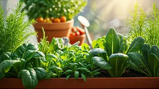Why Eco Gardening Is Trending Again