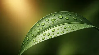 Rainy Season Glow Starts With These Changes