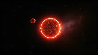 Unveiling the Hubble's Secrets: A Stellar Companion's Tale