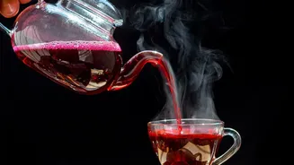From Red Bush To Your Cup: What Makes Rooibos Tea Special?