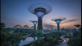 Gardens by the Bay Brings Supertrees and Cool Conservatories to Marina Bay