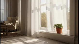 Natural Light Is Useful, but Eye Safety and Heat Still Matter