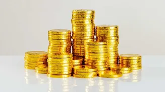 Emergency Fund Contributions In The Story Of How To Divide Monthly Salary In India