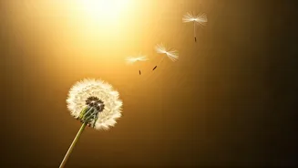 10 Subtle Signals Your Soul Needs Healing: Reclaim Your Inner Peace