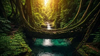 Root Bridges Bring Adventure To India’s Nature Checklist