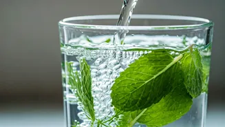 Crushed Mint And Fennel Water Is Pure Bliss For Stomachs