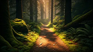 Why You Need To Run On Earthen Paths