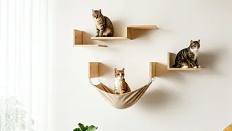 Viral Structural Design Hacks Bring Mounted Hammocks To Cats