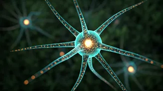 Unlock Your Mind: 7 Ways Meditation Rewires Your Brain for Better Focus and Calm