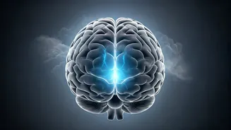 Brain on Empty: Unmasking the Neurological Dangers of Low Blood Sugar