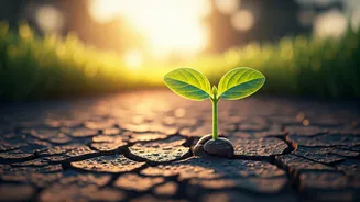 Wellness Gets Easier When It Starts Small