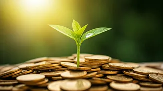 Beyond the Bank Balance: Why More Money Doesn't Always Mean More Happiness