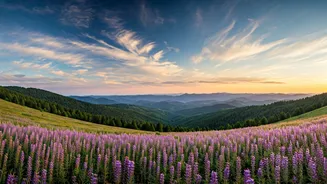 Escape the Heat: Top Indian Escapes for a Perfect April Getaway