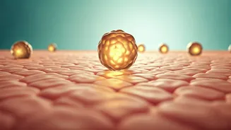 Why Dermatologists Love Ceramides For Stronger Skin