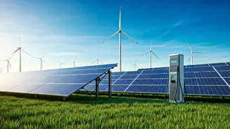 Green Jobs Become Future Career Path