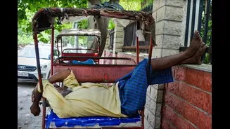 Heatwave Kills 16 In Telangana: What Leads To Heatstroke And How To Protect Yourself