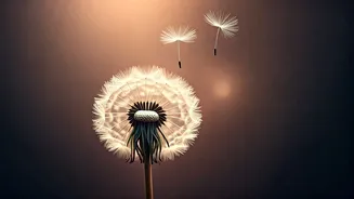 Related Stories banner