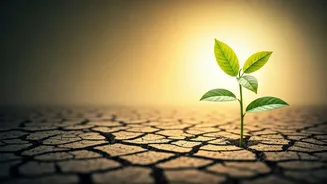 Related Stories banner