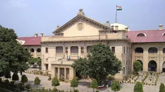 'Live-in not illegal...': Allahabad HC grants protection to 12 couples
