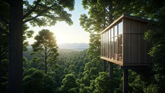 Forest Views From Treehouses Are Travel Feed Gold