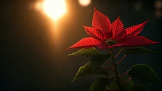 Pohela Boishakh 2026: A Vibrant Celebration of Bengali New Year & Its Rich Traditions