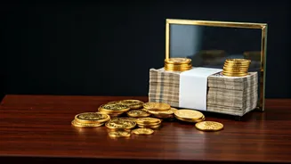 India Market: Key Investment Metrics Updated