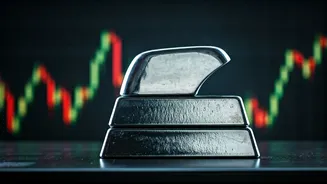 Metal Stocks Soar: Nifty Metal Index Hits Record High