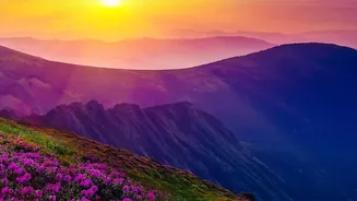 Neelakurinji Conservation Rules Apply Even During Peak Blooming Season