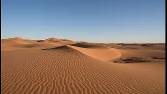 Dune Patterns Help Scientists Read The Direction And Strength Of Martian Winds