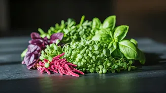 Microgreens Have A Major Moment Across Healthy Desi Kitchen Feeds
