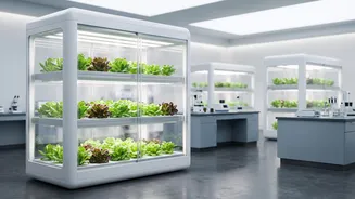 From Earth Classrooms To Mars: How Students Are Exploring Space Farming