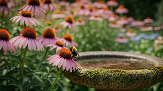 Gardeners Create Havens For Bees