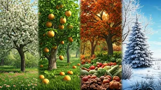 Why Seasonal Living Just Makes Sense