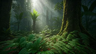 The Ultimate Monsoon Escape Starts Inside India's Forests
