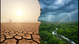 El Niño Vs La Niña: The Climate Patterns Every Indian Should Understand
