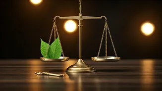 Related Stories banner