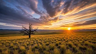 Mongolia: The Undiscovered Gem Overtaking Central Asia & SE Asia