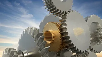 Decoding the Rules-Based International Order