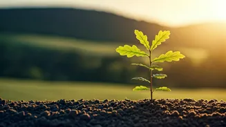 5 Enduring Parenting Lessons: Kindness, Integrity, and Resilience for Life