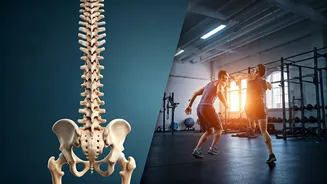 Spine Surgeon Reveals: Poor Posture & Overtraining Lead to Chronic Pain in the Fit