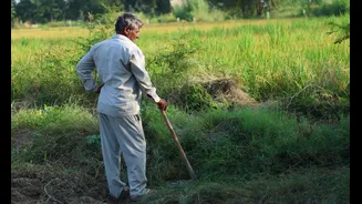 Haryana Advances Agricultural Growth with Tech-Driven Initiatives