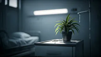 Comedian Zakir Khan's Health Hiatus: Understanding Burnout and Lifestyle Risks